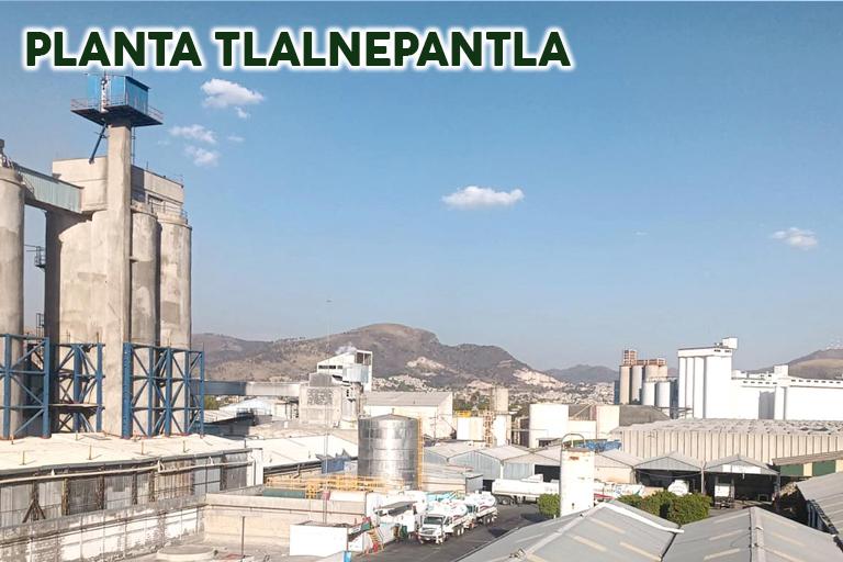 Quienes-Somos-Tlalne